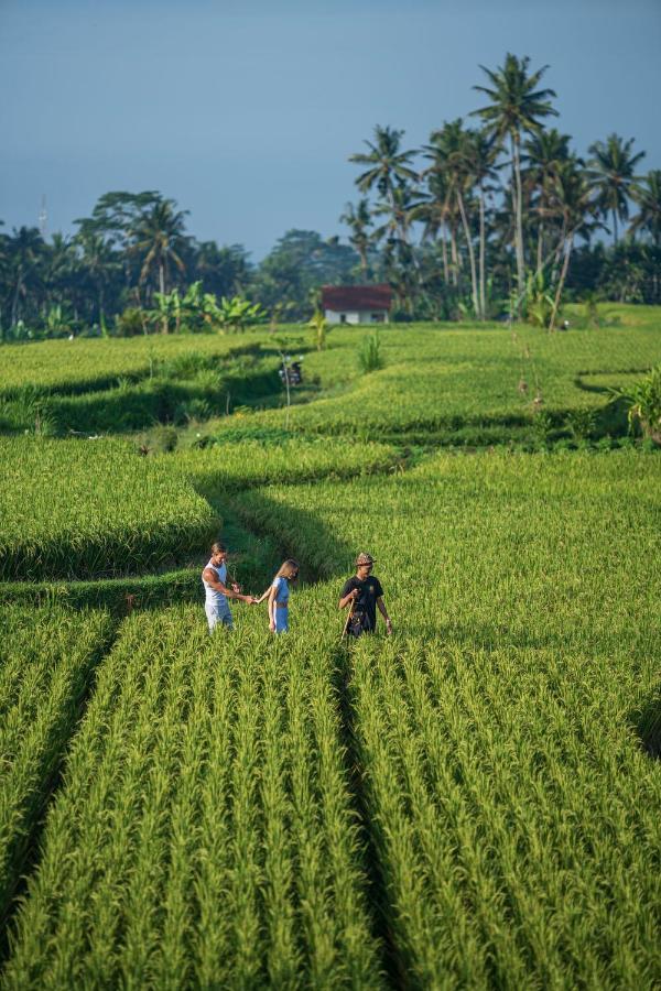 The Sun Of Granary Resort And Villas Ubud Buitenkant foto