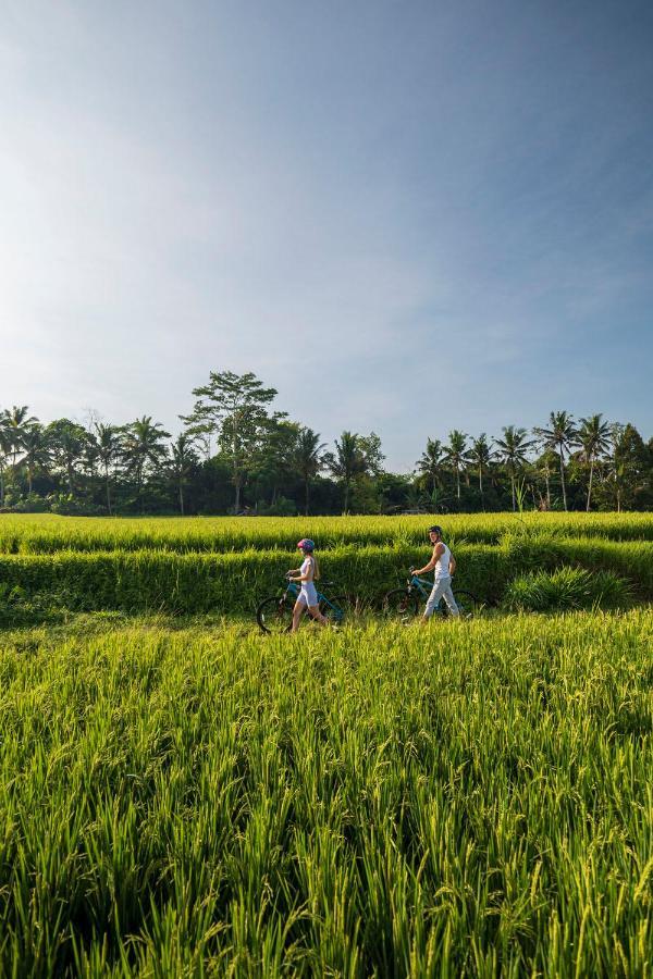 The Sun Of Granary Resort And Villas Ubud Buitenkant foto