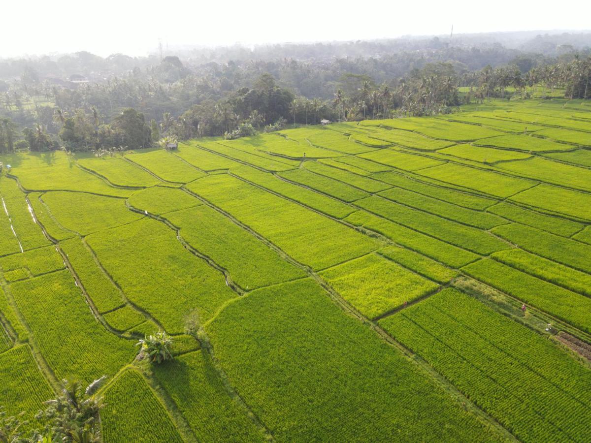 The Sun Of Granary Resort And Villas Ubud Buitenkant foto