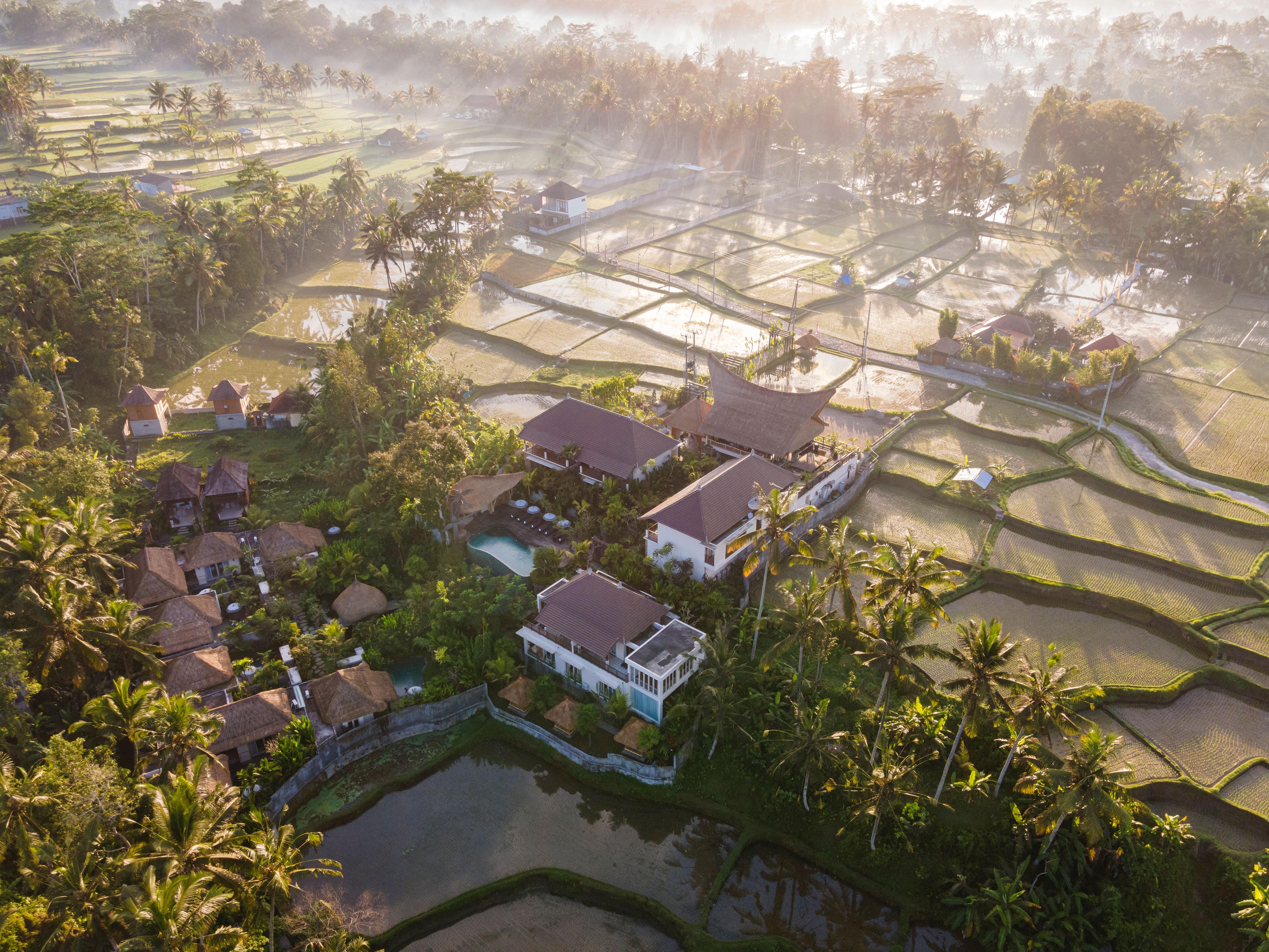 The Sun Of Granary Resort And Villas Ubud Buitenkant foto