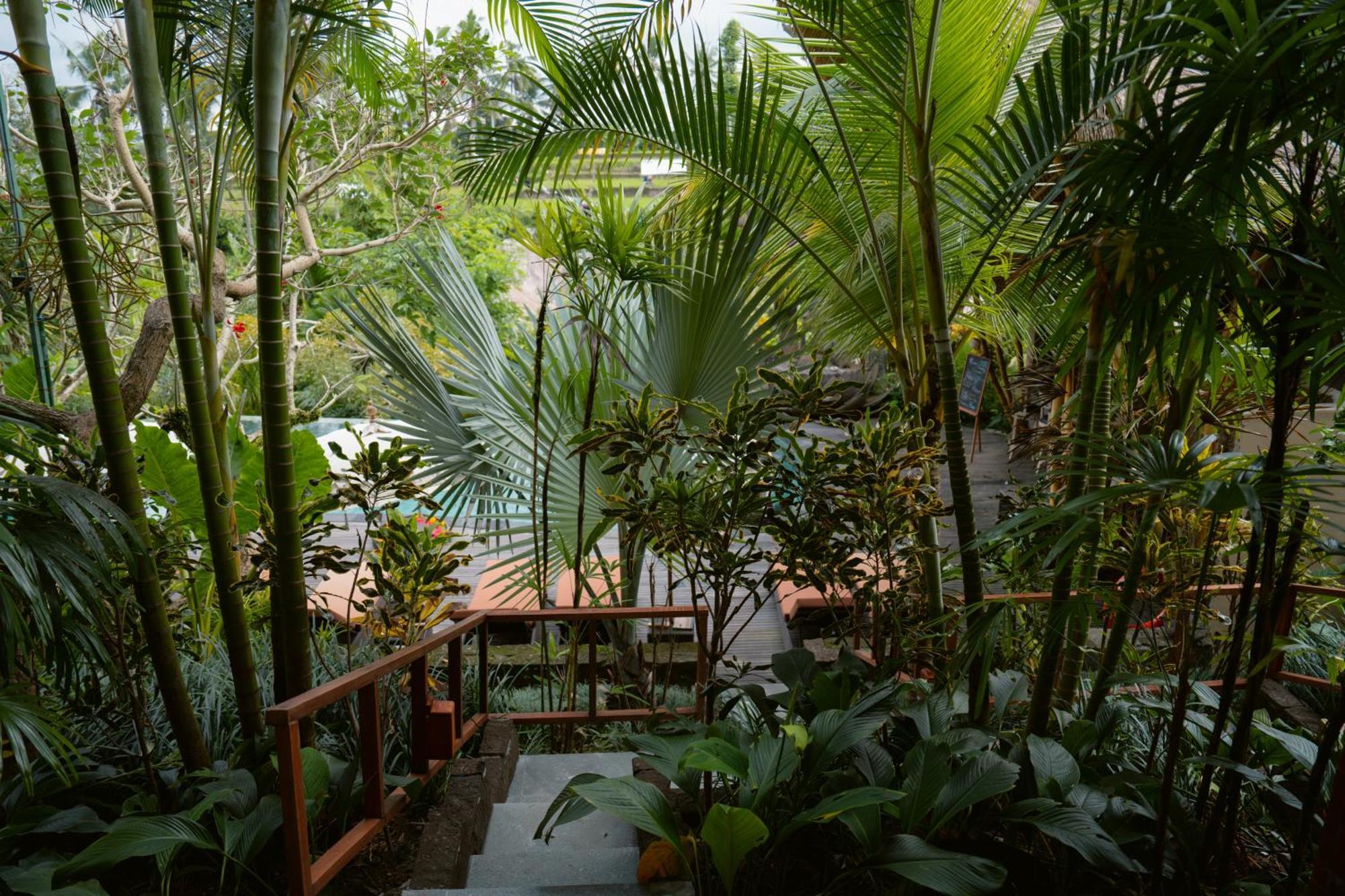 The Sun Of Granary Resort And Villas Ubud Buitenkant foto
